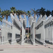 Explore the Diverse Collections at LACMA