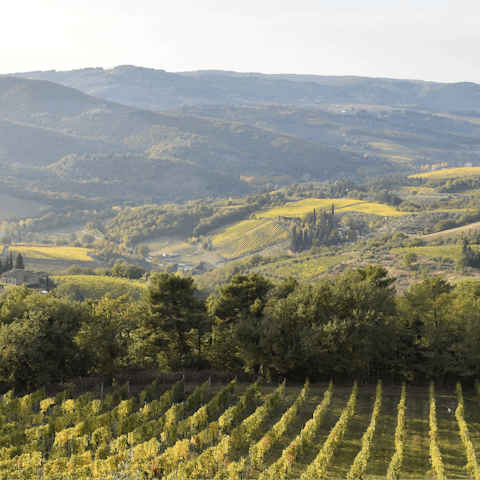 Explore the beautiful countryside of Chianti