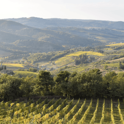 Explore the beautiful countryside of Chianti