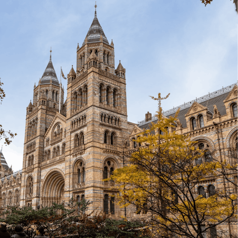 Explore Kensington, including its museums