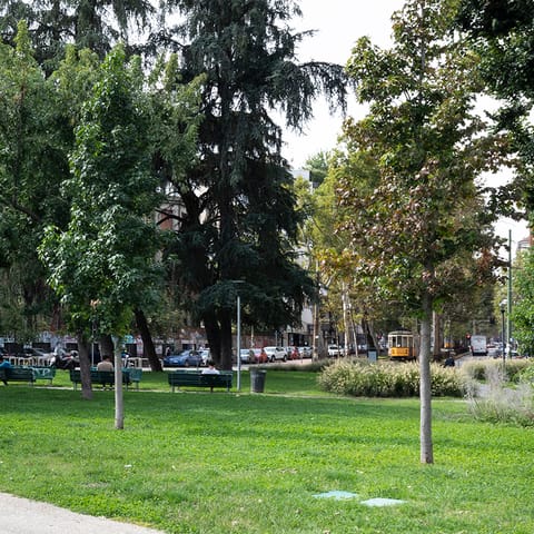 Lots of nearby green space