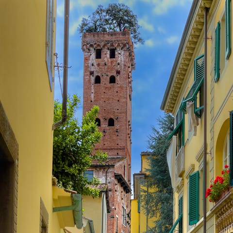 Witness gorgeous city and mountain views from Guinigi Tower