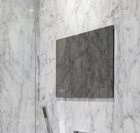 A TV in the shower