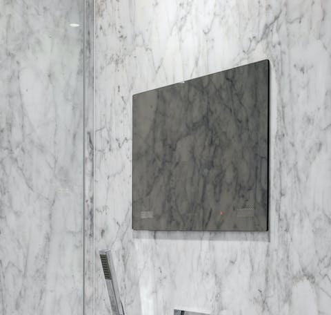 A TV in the shower
