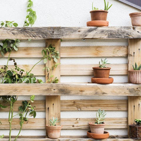 Pot plants on the balcony
