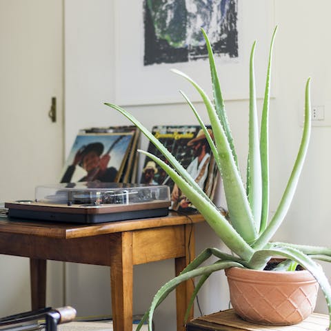 The vinyl collection and record player