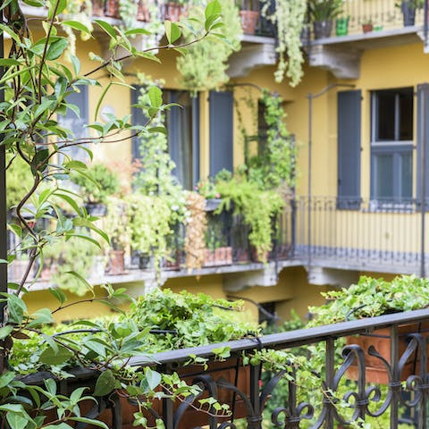 Greenery draped around the courtyard