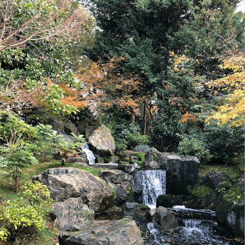 Stroll fourteen minutes to Holland Park for a breath of fresh air