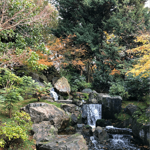 Stroll fourteen minutes to Holland Park for a breath of fresh air