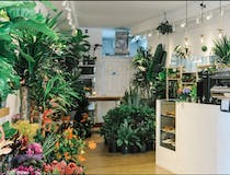 Pick up a latté and a fern at PlantShed Cafe