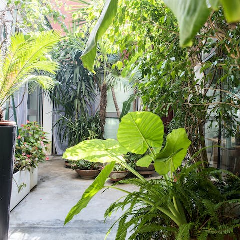 Huge numbers of plants