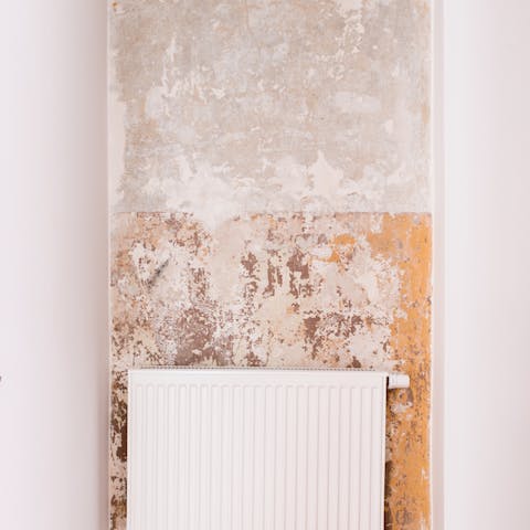 This trendy excavated wall