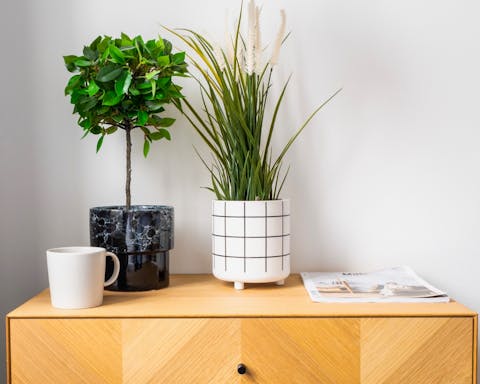 Lots of curated corners