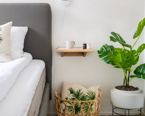 The stylish plant theme
