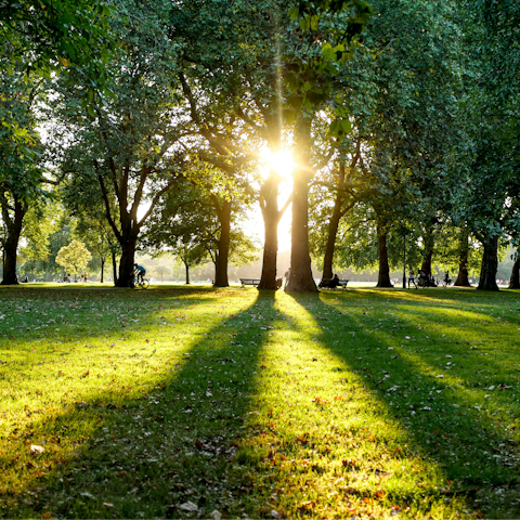 Spend a magical afternoon in Hyde Park – a short walk away