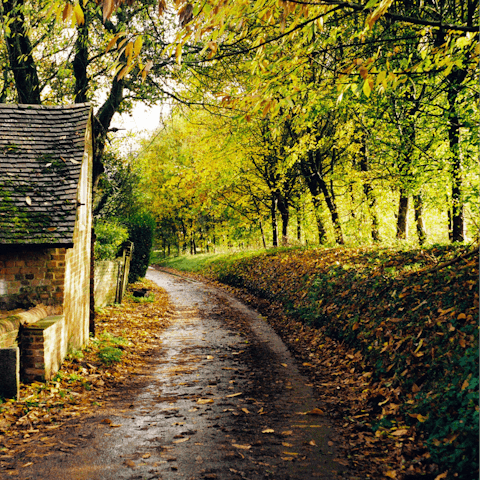 Stay in Hampshire, a picturesque county in the beautiful English countryside