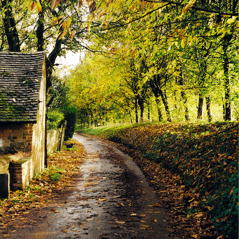 Stay in Hampshire, a picturesque county in the beautiful English countryside