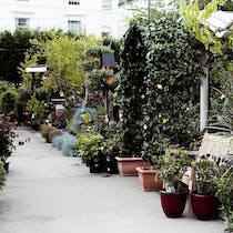 Grab a Coffee at Clifton Nurseries