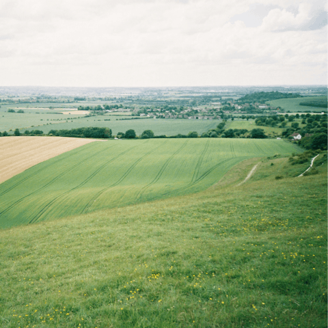 Hop on the free bikes and explore the nearby Dunstable Downs