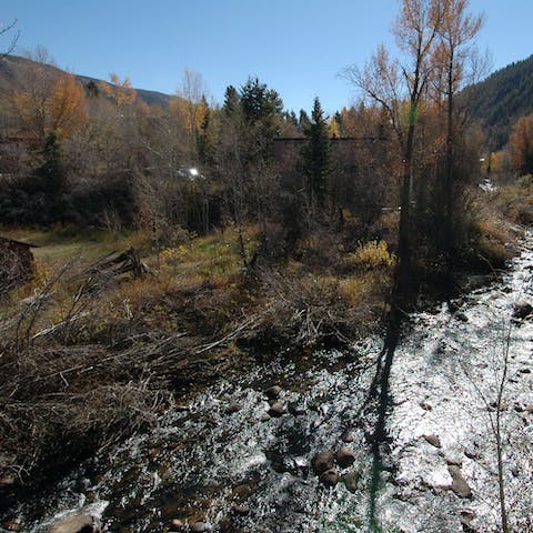 Take your coffee overlooking the woodlands