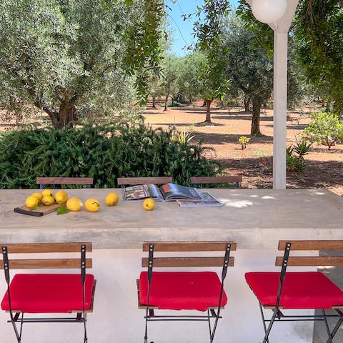 Enjoy some burrata and focaccia at the alfresco dining table