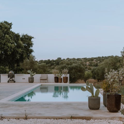 Swim in the private pool to cool off in the heat