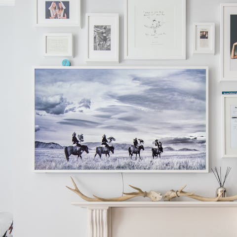 The photography collection