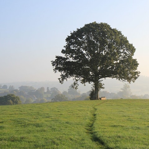 Explore Devon's stunning scenery