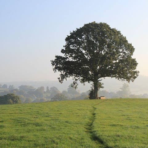 Explore Devon's stunning scenery