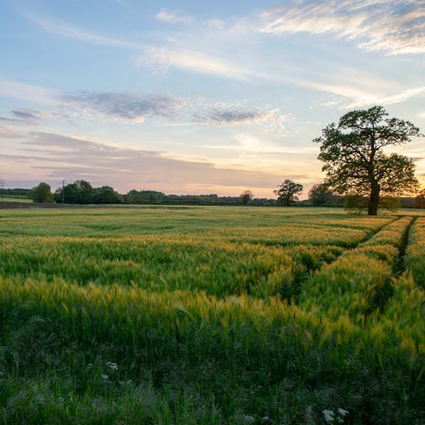Put on your hiking boots and explore the Oxfordshire countryside
