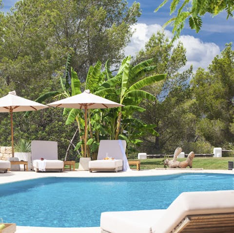 Top up your tan by the glistening pool and tall palms overhead