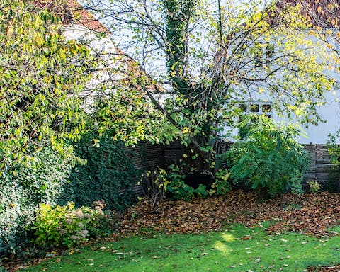 The family-friendly garden