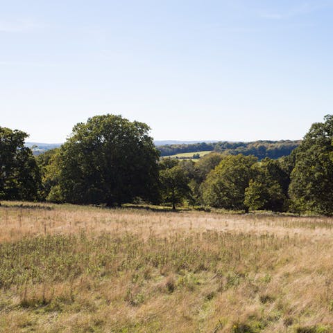 Take a stroll around the magnificent grounds