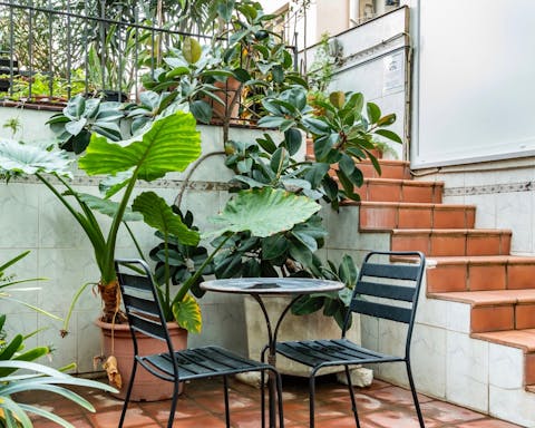 The green rooftop