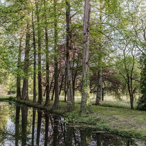 Take long walks though the château grounds