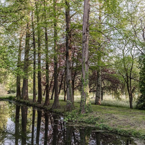 Take long walks though the château grounds