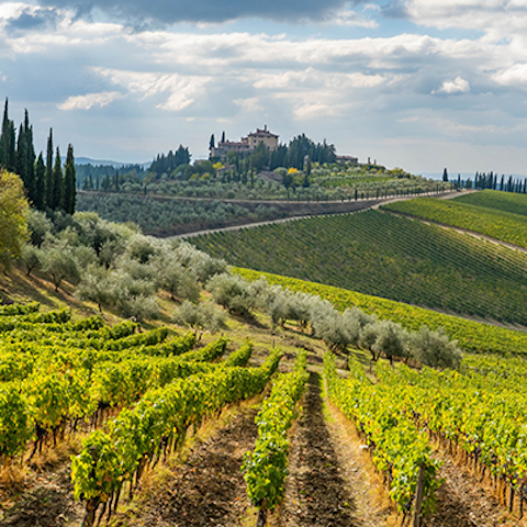 Visit the beautiful hilltop town of Radda, 3km away