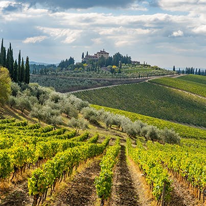 Visit the beautiful hilltop town of Radda, 3km away