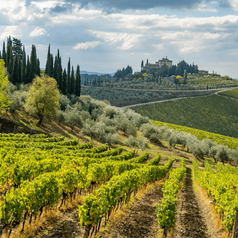 Drive 7km to Radda in Chianti, perfect for day trips