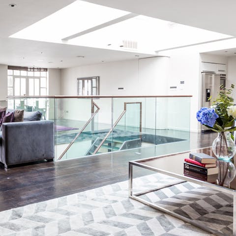 living space skylight