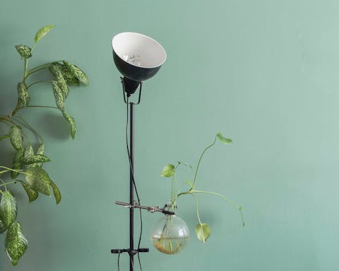 Relax in the mint green living room with chic lighting