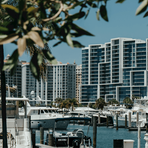 Rent a boat from the pier in Sarasota, fifteen minutes away