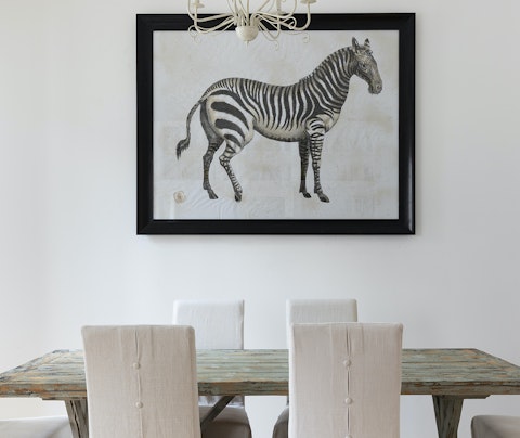 The zebra print