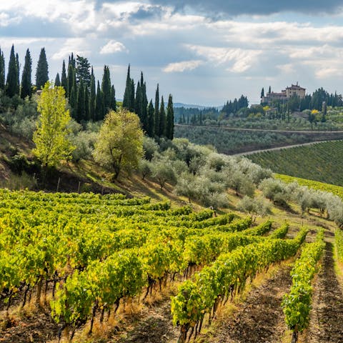Explore the market town of Radda – it's just 7km away