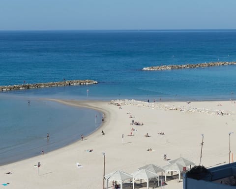 Right next to the beach
