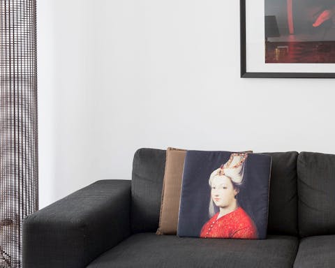 The regal print pillows
