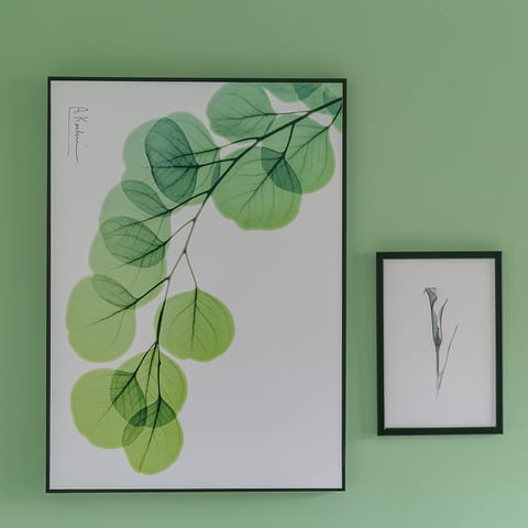 The nature-themed artwork