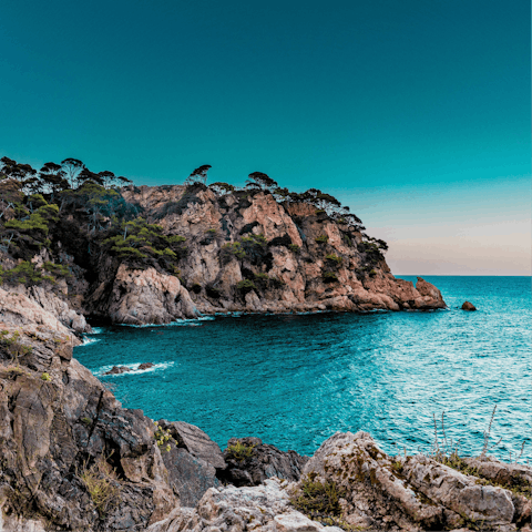 Explore the beaches and coves of the Costa del Sol