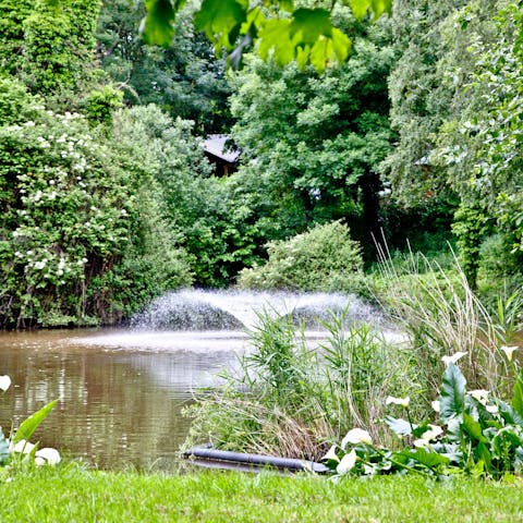 Take a stroll through the sun-dappled woodland or find a quiet spot by the lake