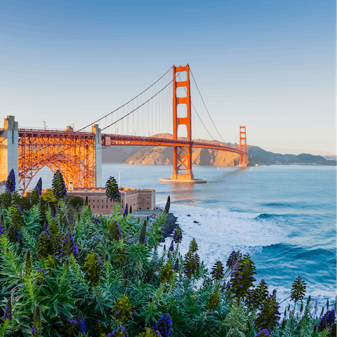 Visit the Golden Gate Bridge